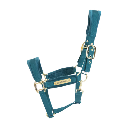 Kentucky Velvet Halster