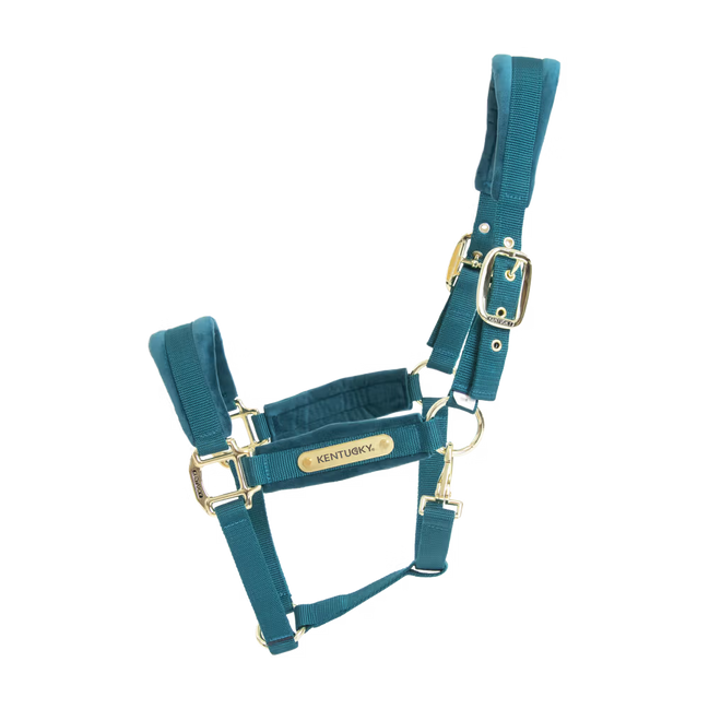 Kentucky Velvet Halster