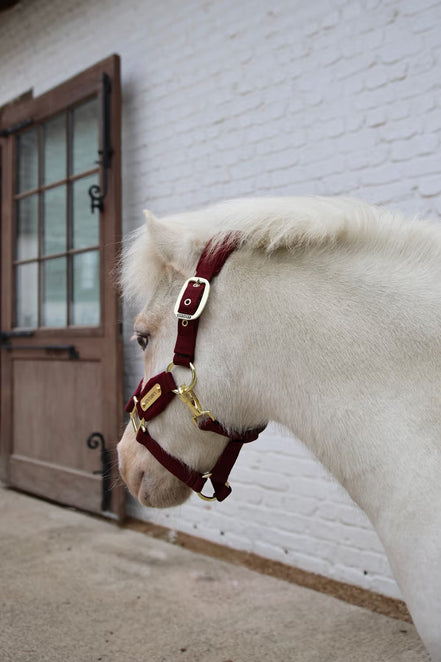 Kentucky Velvet Halster