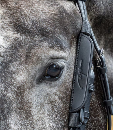 Dy'on Blinker normes FEI