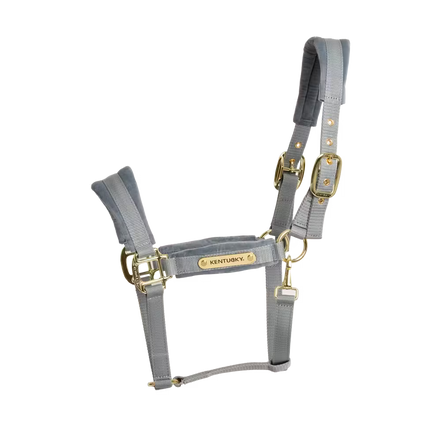 Kentucky Velvet Halster