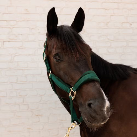 Kentucky Velvet Halster