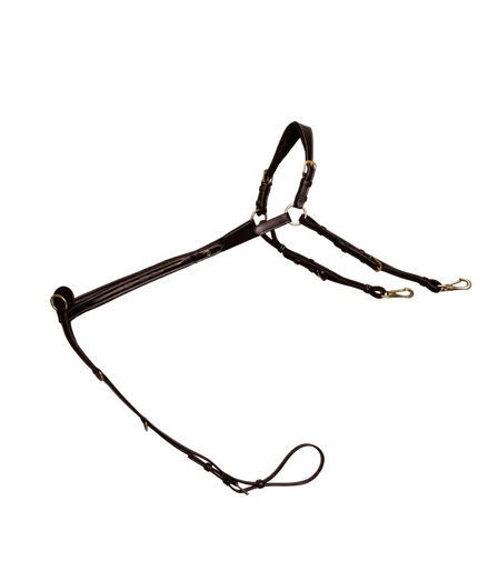 Dy'on Bridge Breastplate D Collection