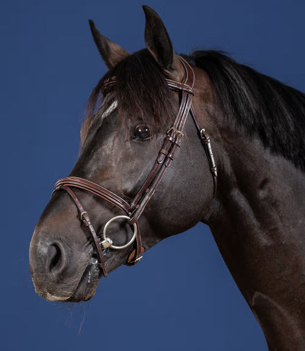 Dy'on Flash Noseband Hoofdstel Hunter