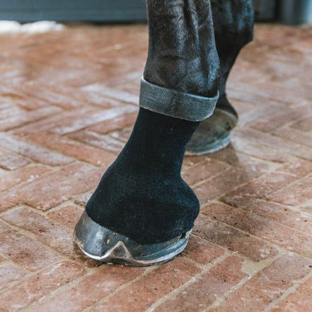 Kentucky Tendon grip gel sock black