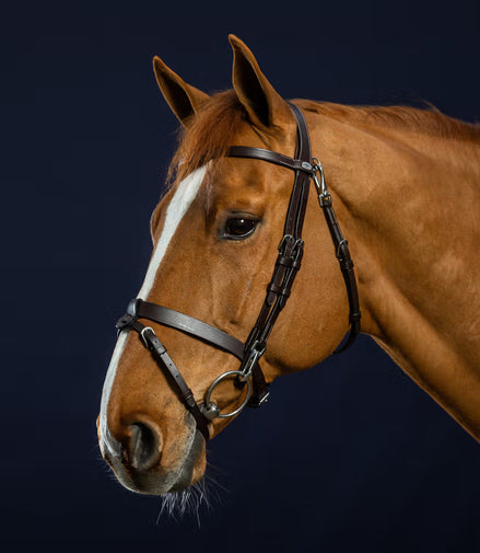 Dy'on Flat Leather Bridle With Snap Hooks