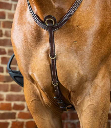 Dy'on Bridge Breastplate D Collection