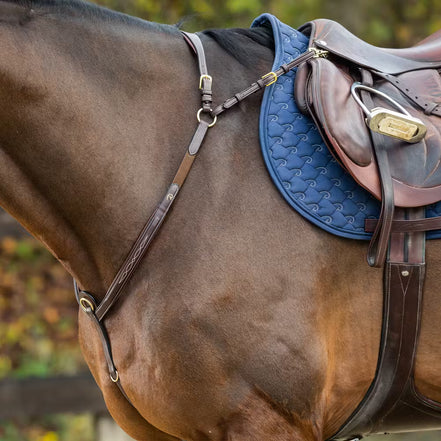 Dy'on Bridge Breastplate D Collection