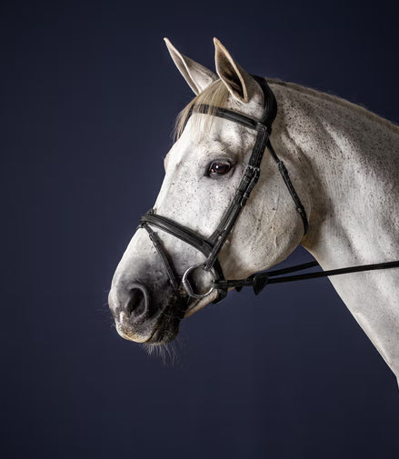 Dy'on gecombineerde neusriem Hoofdstel - New English