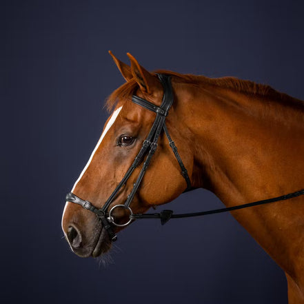 Hoofdstel met aanpasbare Duitse neusriem New English Collection