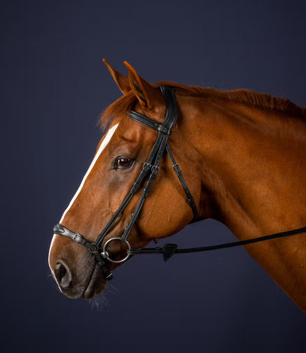 Hoofdstel met aanpasbare Duitse neusriem New English Collection