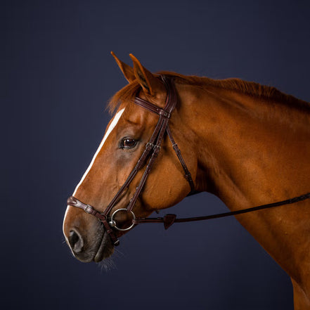 Hoofdstel met aanpasbare Duitse neusriem New English Collection