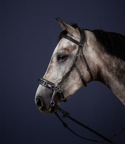 Dy'on Hackamore Hoofdstel - D Collection