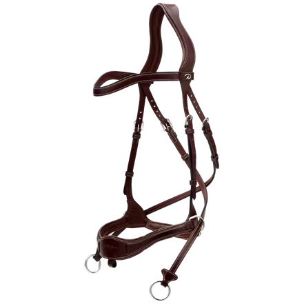 Dy'on D Motion Hoofdstel