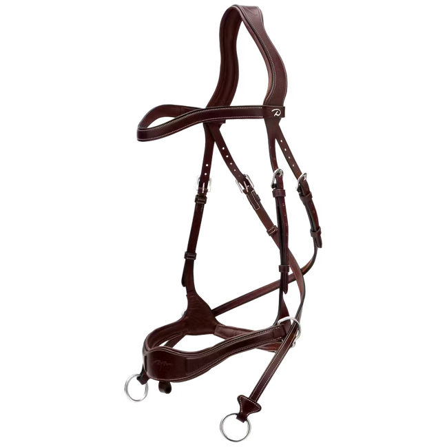 Dy'on D Motion Hoofdstel