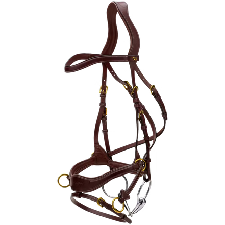 Dy'on D Motion Hoofdstel