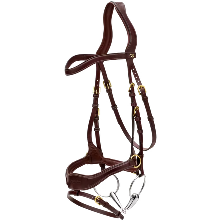 Dy'on D Motion Hoofdstel