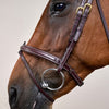 Dy'on Flash Noseband Hoofdstel - D Collection
