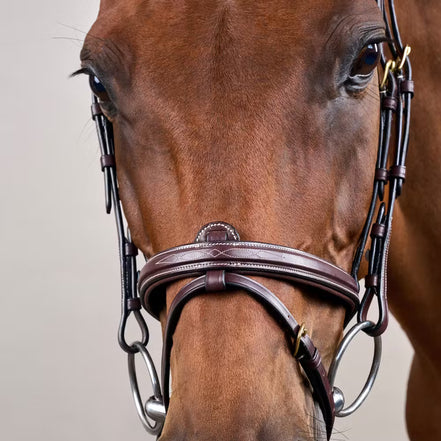 Dy'on Flash Noseband Hoofdstel - D Collection