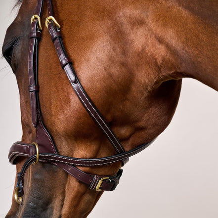 Dy'on D Motion Hoofdstel