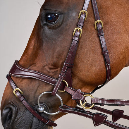 Dy'on D Motion Hoofdstel