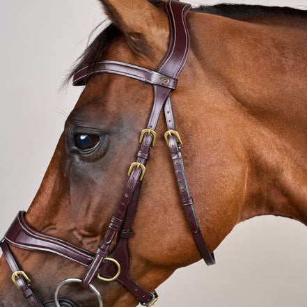 Dy'on D Motion Hoofdstel