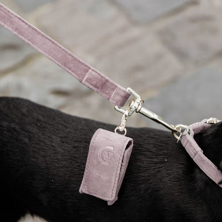 Kentucky Hondenpoepzakjeshouder Square Velvet