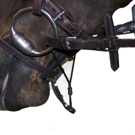 Test Equi Smart Control