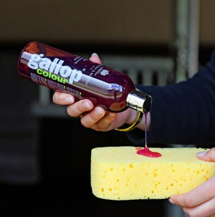 Carr & Day & Martin Gallop Kleurversterkende Shampoos