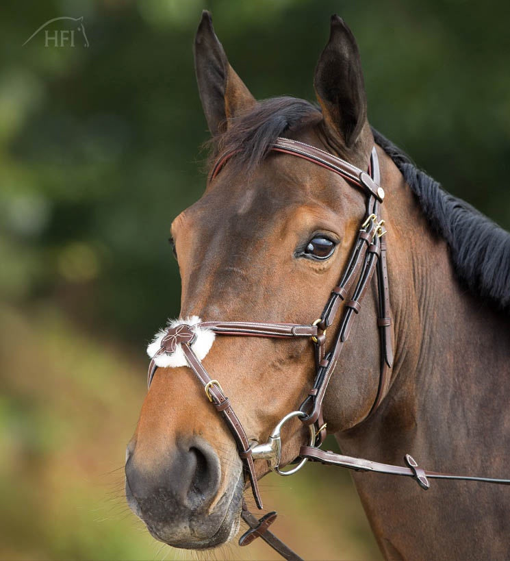 HFI Hoofdstel Mexican