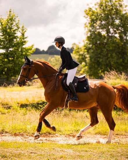 Samshield Spineshield Zadeldek