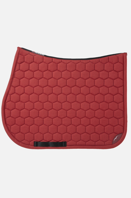 Animo Wisconsin Zadeldek Jump