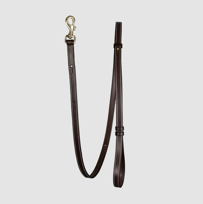 Dy'on Adjustable Dog Leash Bruin