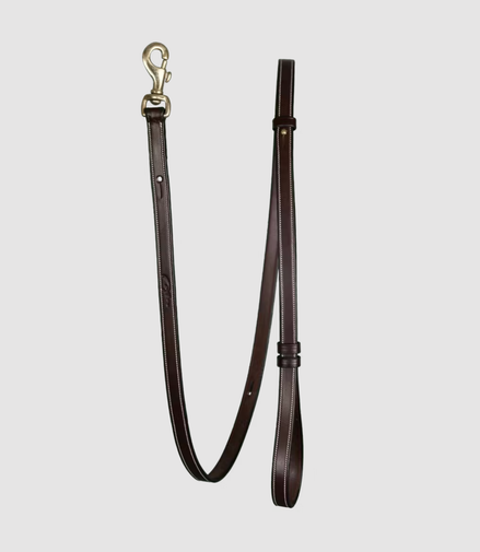 Dy'on Adjustable Dog Leash Bruin