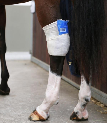 Kentucky Tendon grip kous beige