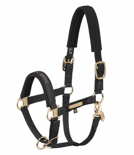 Eskadron Halster Faux Leather Plait Double Pin Heritage 24/25