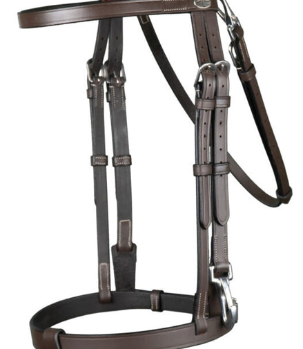Dy'on Flat Leather Bridle With Snap Hooks