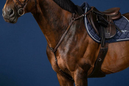 Dy'on Bridge Breastplate US Collection