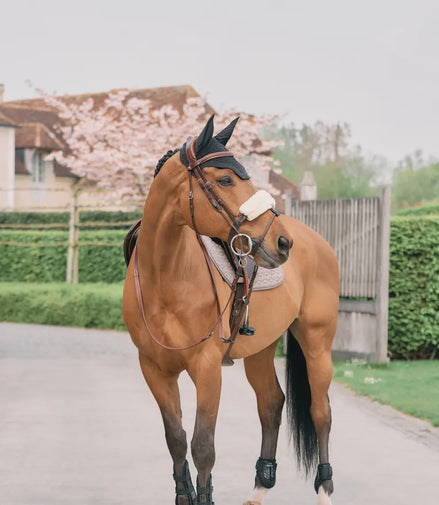 Kentucky Neusriemcover Wol Naturel 28cm