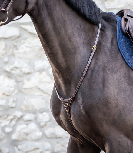 Dy'on Yoke D-Collection