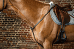 Dy'on Breastplate D Collection Borstriemen en martingalen - Maddelin Equestrian Dy on