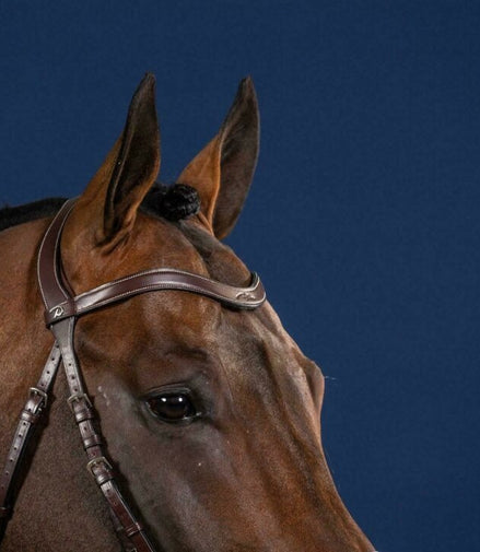 Dy'on Flat Leather V-Shaped Browband Hunter