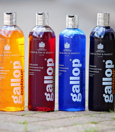 Carr & Day & Martin Gallop Kleurversterkende Shampoos