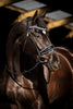 HB Showtime Blue Ocean Trenshoofdstel Trenshoofdstellen - Maddelin Equestrian HB