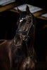 HB Showtime Dark Eagle Trenshoofdstel Trenshoofdstellen - Maddelin Equestrian HB