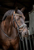 HB Showtime Golden Dreams Trenshoofdstellen - Maddelin Equestrian HB