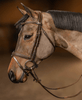 HFI Hoofdstel Pro Line Milano Trenshoofdstellen - Maddelin Equestrian HFI