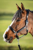 HFI Wave Halster Lederen - Maddelin Equestrian HFI