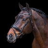 Imperial Riding Hoofdstel IRHOlympia Trenshoofdstellen - Maddelin Equestrian Imperial Riding