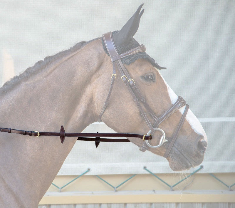 Dy'on Adjustable Reins